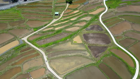 Aerial-drone-flight-over-water-filled-rice-fields-in-Japan