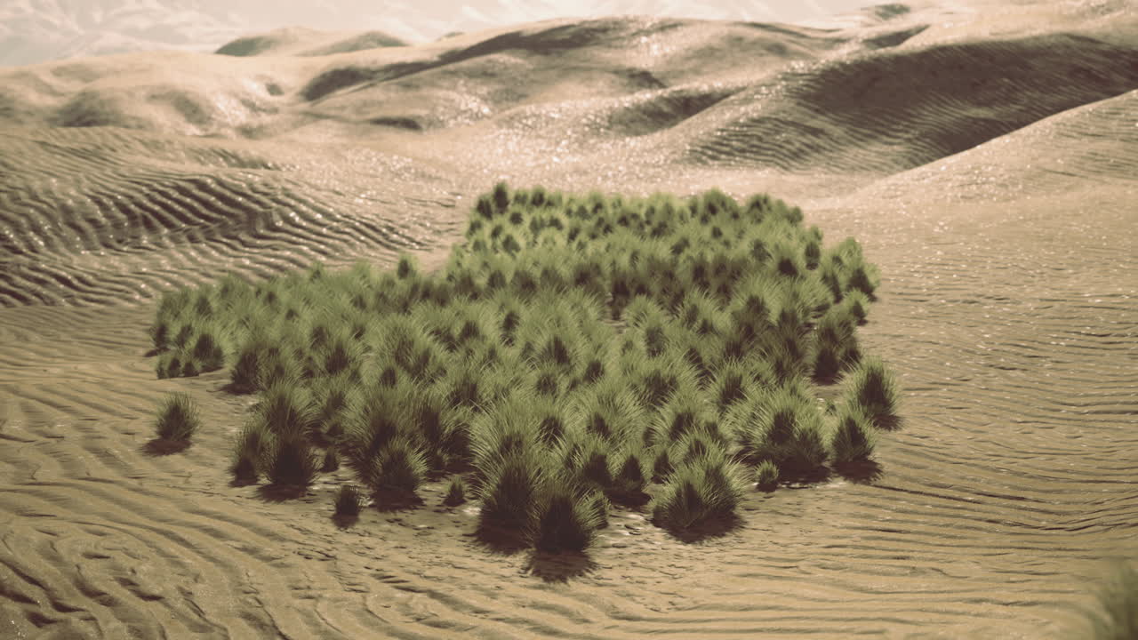 Vibrant green oasis flourishing amid golden desert dunes in sunlight