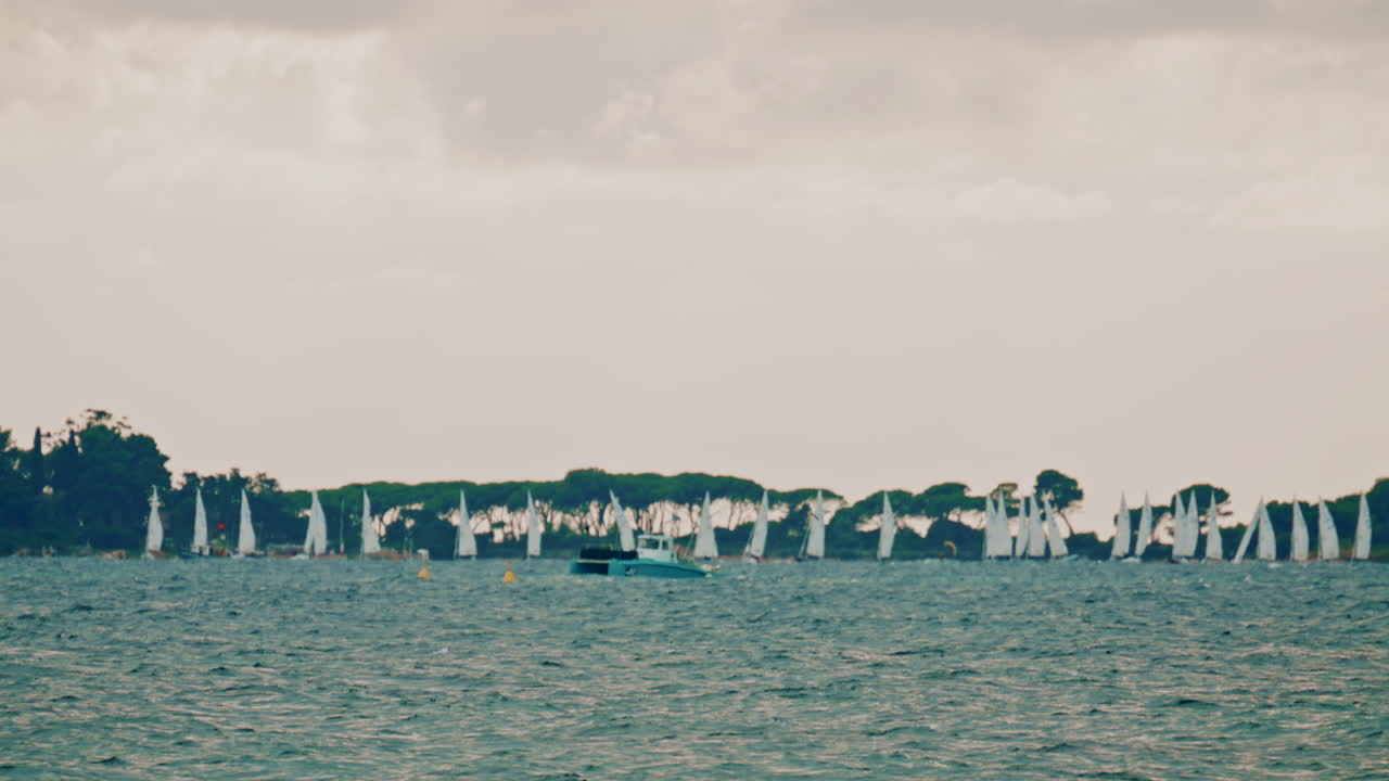 A sailing regatta off the coast, with numerous white sails lined up near a tree covered island