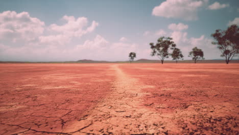 tierra seca de suelo agrietado durante la estación seca