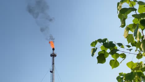 Burning-Gas-Flare-against-clear-blue-sky,-nature-leaves-on-foreground,-day
