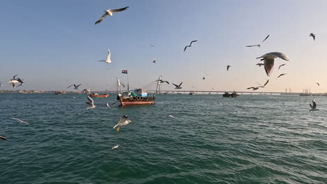 En-Medio-De-La-Tranquilidad-De-La-Bahía,-Un-Barco-Anclado-Ocupa-Un-Lugar-Central-En-La-Escena-Cinematográfica.