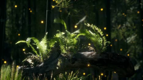 tronco del árbol doblado horizontalmente con helechos creciendo, y la luz del sol brillando