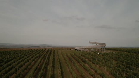 flying above vineyards, close to a spiral shaped sightseeing tower and above sunflower field in moravia - czech republic