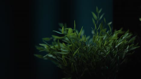 close up of plastic plant in a pot inside a dark room with soft white light on it