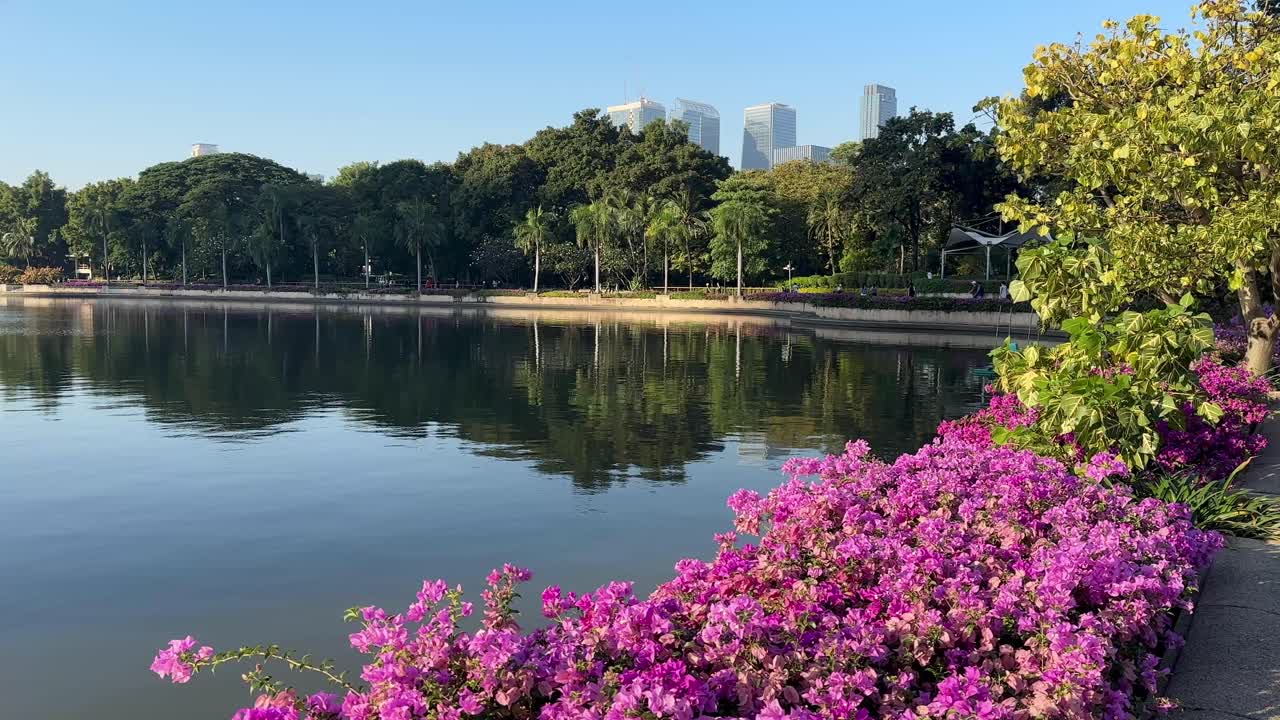 Walking in nature scene at Lumphini Park Bangkok Thailand with lush greenery peaceful pathways