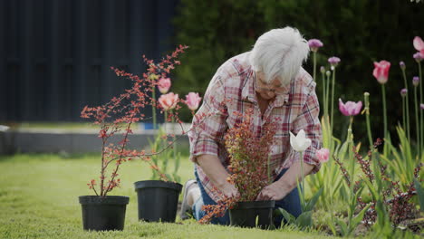 Eine-ältere-Frau-Pflanzt-Blumen-In-Ihrem-Garten.-Aktive-Senioren