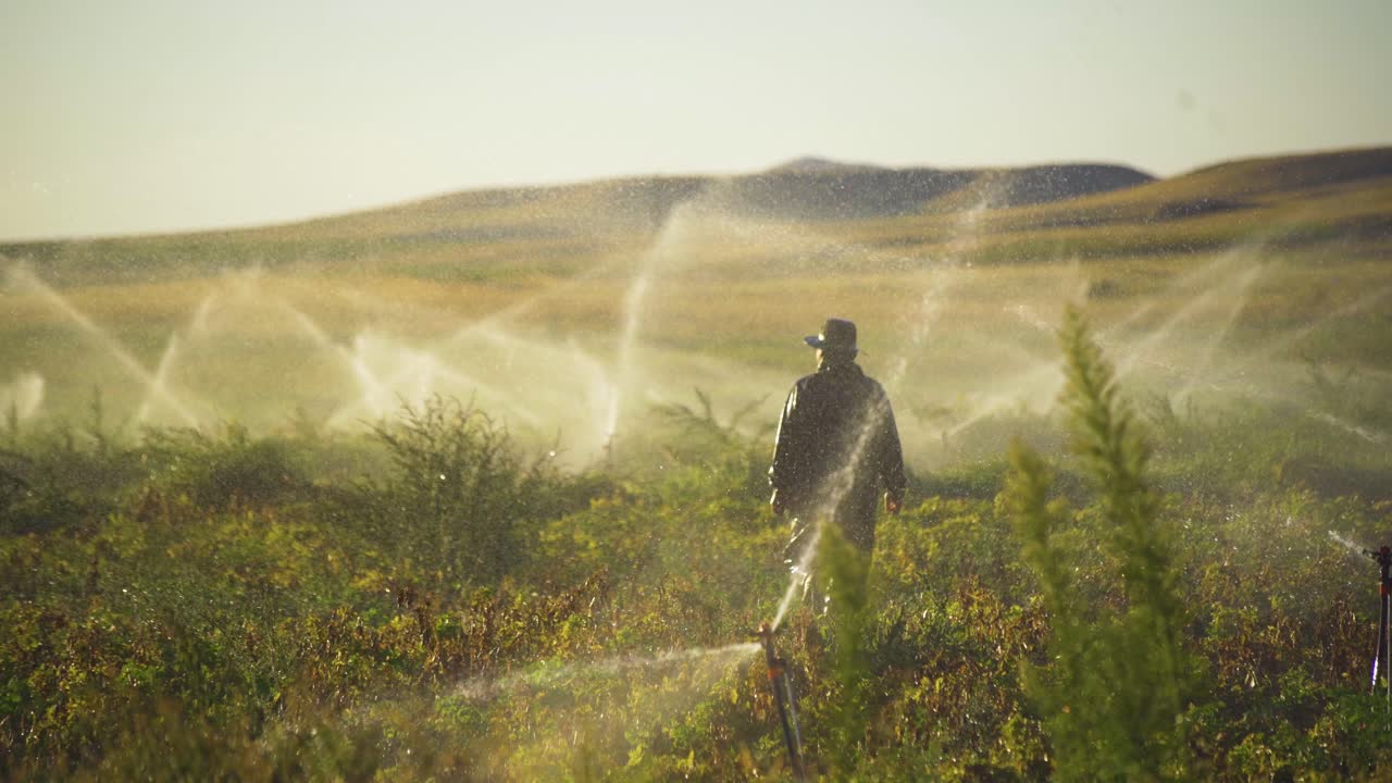 Silhouette of farmer walking in the field.
