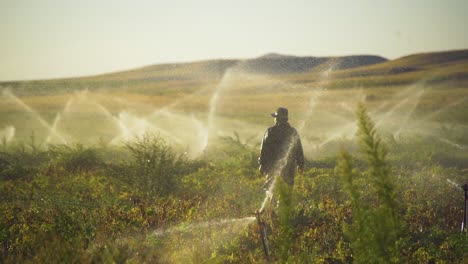 silueta de un granjero caminando por el campo.