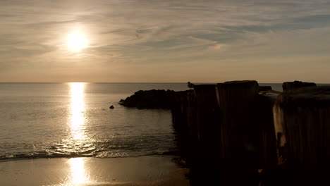 Annäherung-An-Die-Silhouette-Einer-Möwe,-Die-Bei-Sonnenuntergang-Auf-Einem-Dock-Thront