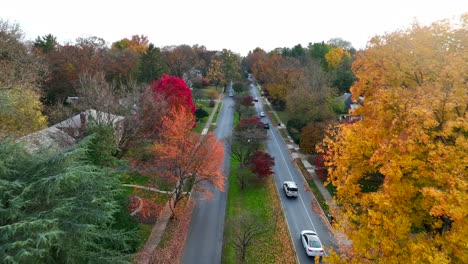 cars drive on road through usa suburbia during autumn