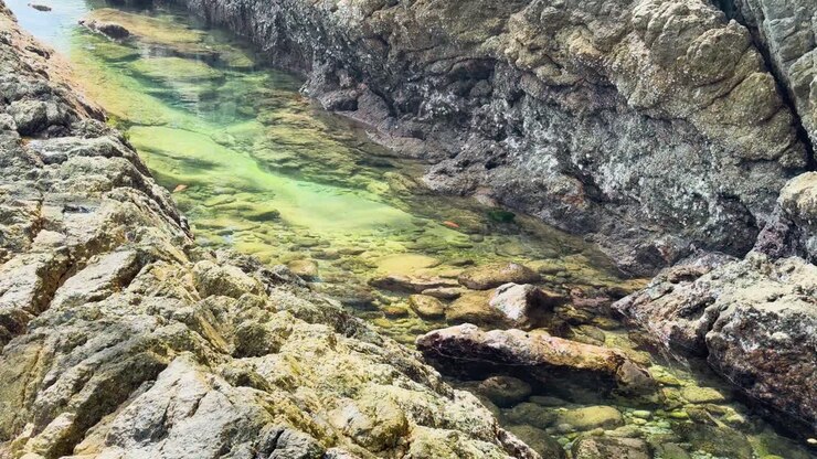 Una serena piscina naturale con acqua limpida, circondata da rocce aspre a Phuket, Thailandia, catturata alla luce naturale del giorno.