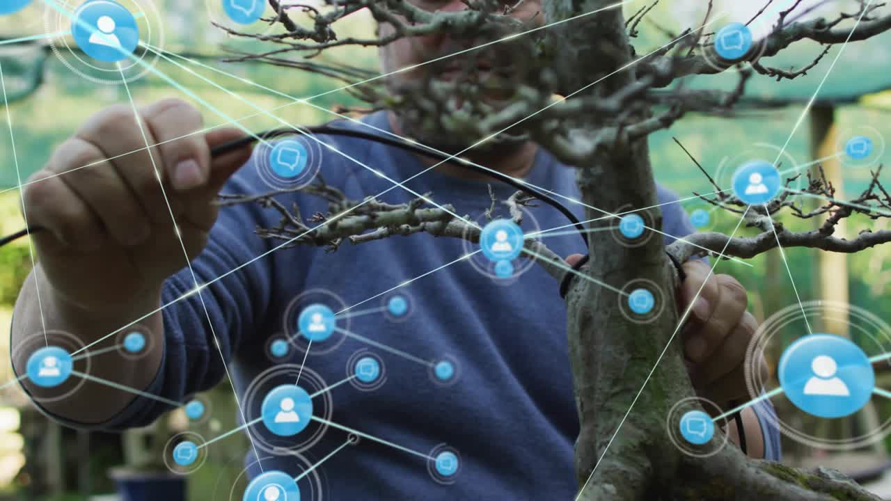 Senior man wiring bonsai, hands wrapping wire to shape branches causing blue network filling frame
