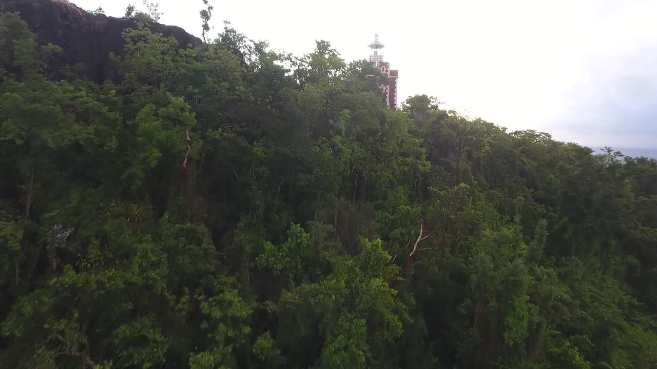 drone aéreo disparado sobre árboles descubriendo faro y océano en martinique