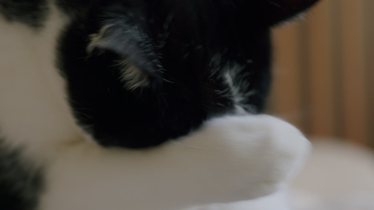 самостоятельное лечение