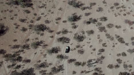 aerial top-down view of off-road safari in namibia, africa