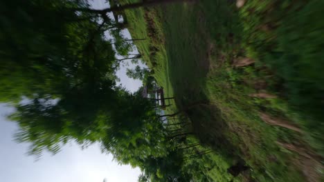 vertical fast fpv drone shot between trees on bukit asah camp site to a blond woman swinging on a swing set with a great view on the ocean