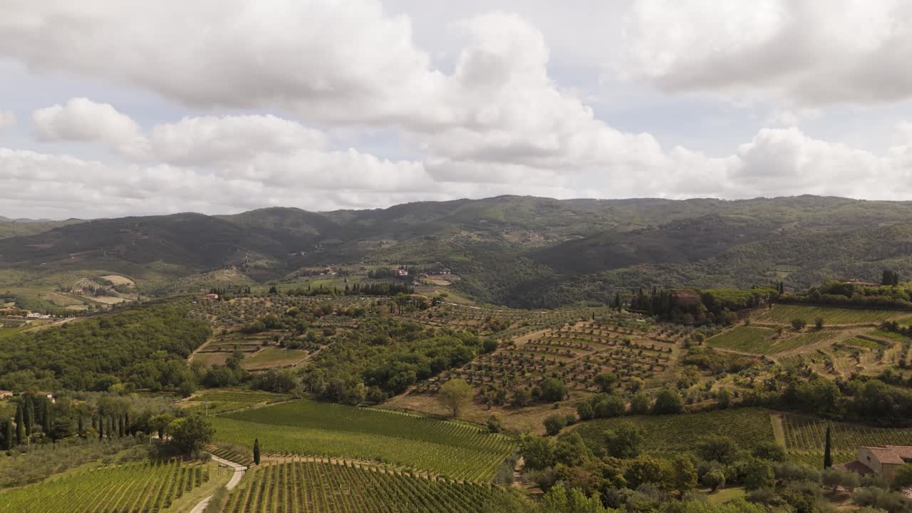 Clip di droni della regione di San Vincenzo, vicino a Livorno, con dolci colline, terreni agricoli, vigneti, foreste e ampi paesaggi mediterranei. Eccellente per immagini di natura, agricoltura e viaggi.