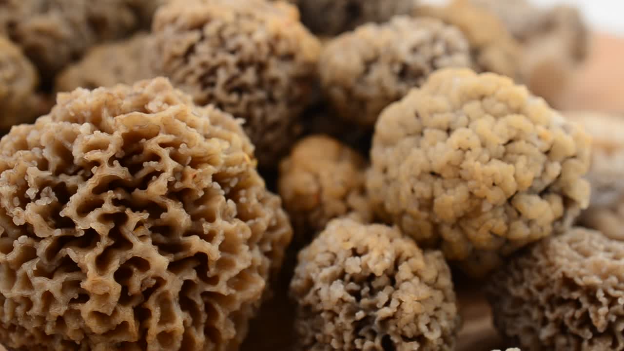 Mushrooms morels on a wooden board. Shooting in the movement