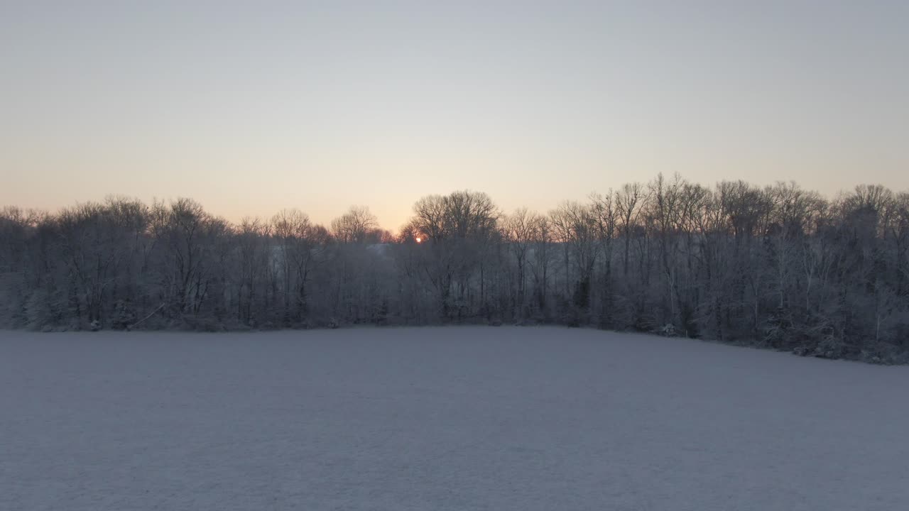 뒤에 태양이 떠오르는 눈 덮힌 나무를 향해 인형