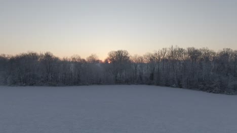 dolly towards snow covered trees with the sun rising behind them