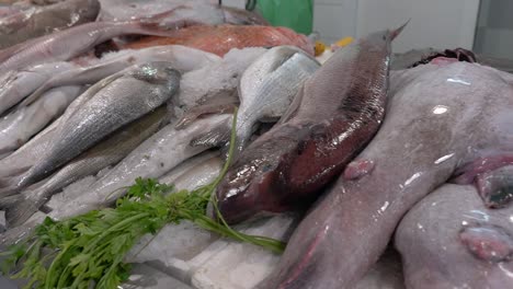 mostrador de mercado con pescado fresco rodeado de hielo para enfriarlo