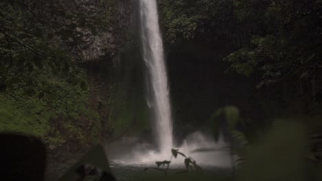 this clip captures la fortuna waterfall in costa rica on the dense tropical jungle