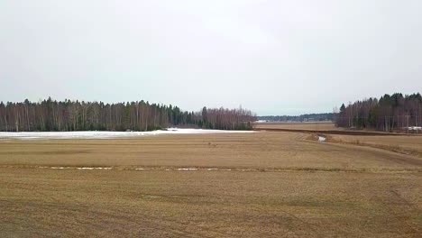 aerial, slow motion, small group of eurasian cranes, grus grus, birds flying
