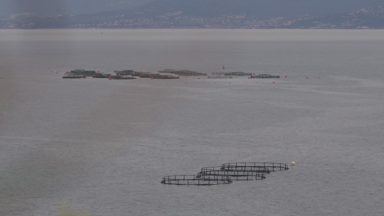 Fish Farms in the Ocean