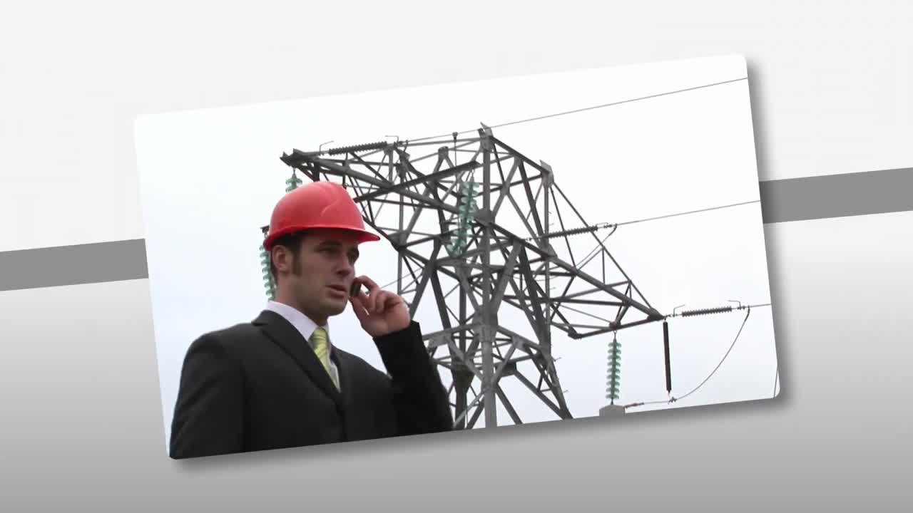 Montage showing the concept of ecology