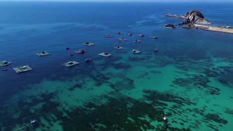 aerial view of fishing village in ninh hải district, ninh thuận, moving slowly forward above fish farming platforms set in vibrant blue waters.
