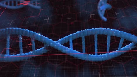 animación del procesamiento de datos sobre cadenas de adn