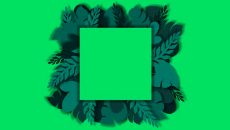 tropical palm leaves animation template with green screen