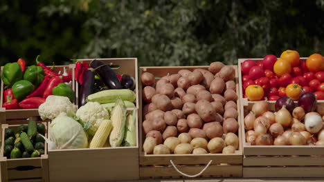 A-stall-with-various-vegetables-at-a-farmers'-market.-Pan-shot