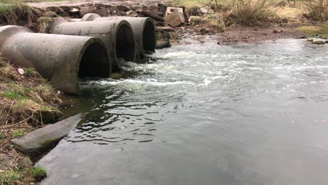 wasserströme fließen durch betonkanäle. ein verschmutztes gewässer in einem frühlingspark.