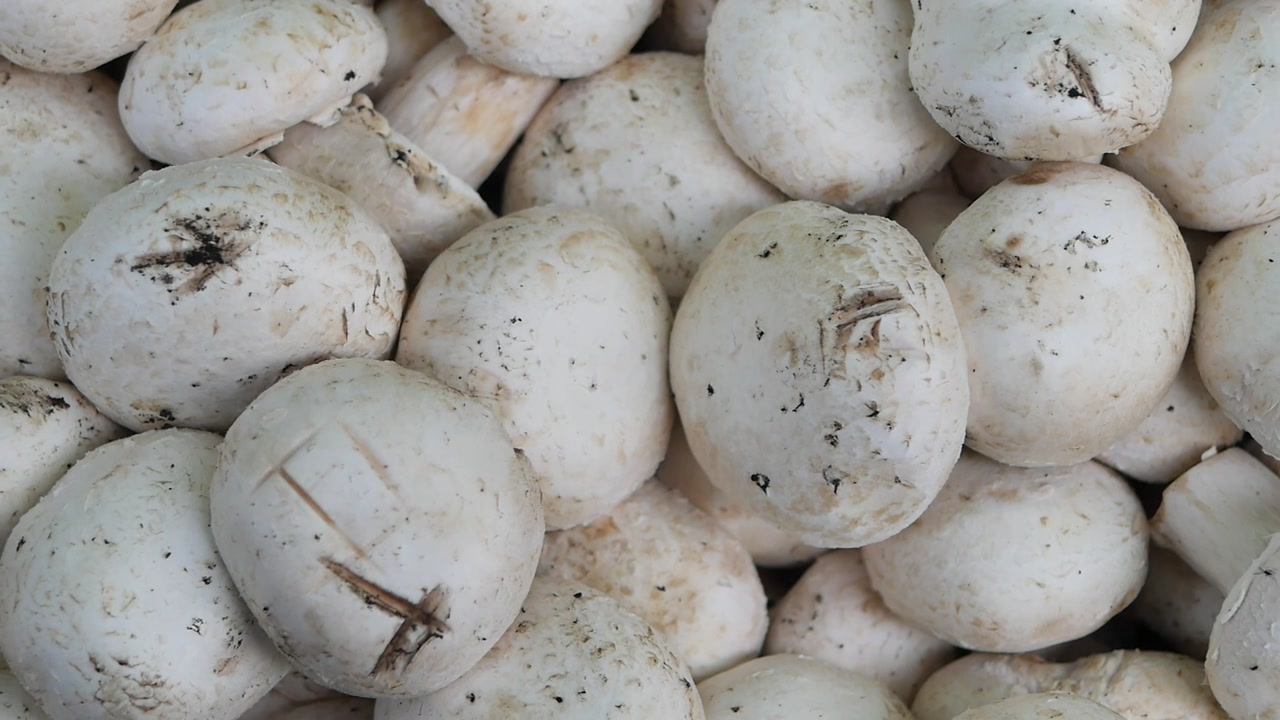Close-up View of Fresh White Button Mushrooms