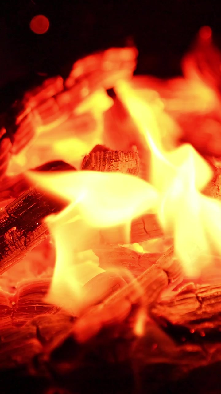Braci di legna bruciata. Il falò si è spento lasciando un mucchio di carbonella. Primo piano. Video verticale.