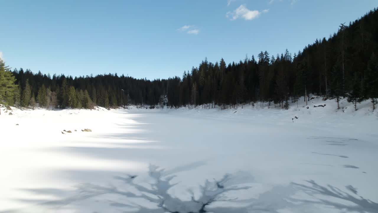 lago caumasee congelado con árboles densos en el bosque en flims, suiza