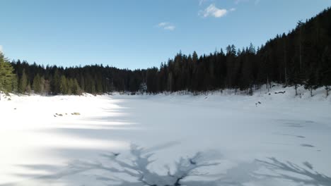 Zugefrorener-Caumasee-Mit-Dichten-Bäumen-Im-Wald-In-Flims,-Schweiz