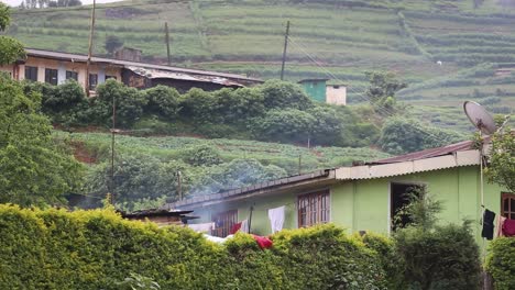 local small cottages of labors at the hillside of tea plantation in sri lanka