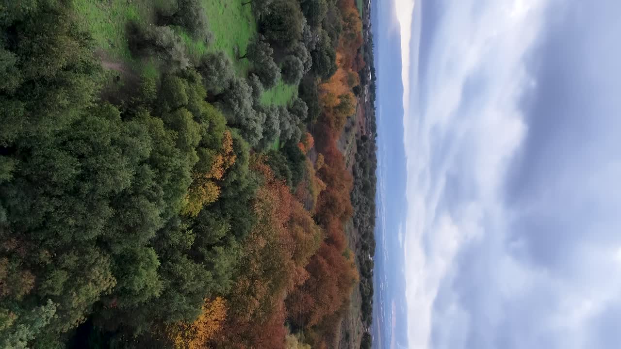 Grøn og orange skov, der skifter til efterårsfarver, vertikalt luftfoto