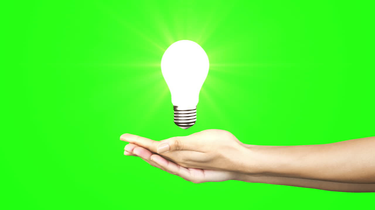 드 프레젠테이션 전구