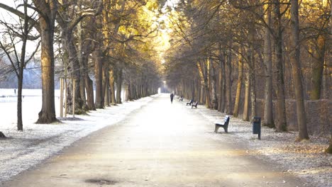 Jogger-Läuft-Bei-Sonnenaufgang-Im-Park