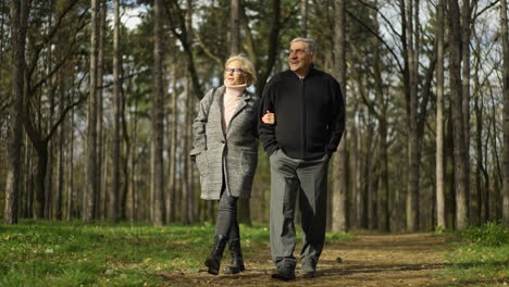 senior couple walking in the forest
