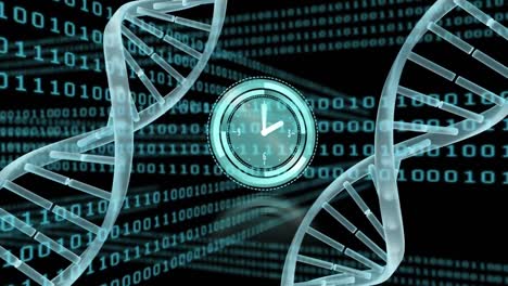 Animación-Del-Reloj,-La-Estructura-Del-ADN-Y-El-Procesamiento-De-Datos-De-Codificación-Binaria-Sobre-Fondo-Azul