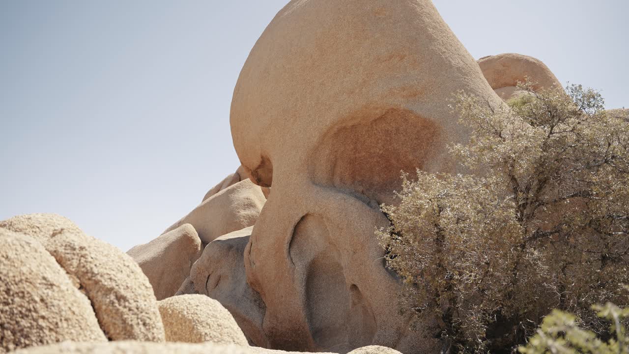 Skull Rock in Joshua Tree National Park. This distinctive rock formation, resembling a skull emerging from the desert floor, adds a touch of intrigue and fascination to the unique landscape