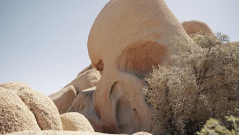 skull rock in joshua tree national park. this distinctive rock formation, resembling a skull emerging from the desert floor, adds a touch of intrigue and fascination to the unique landscape