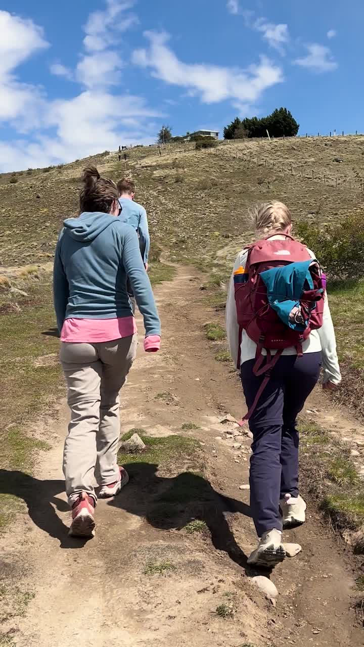 Escursionisti su un sentiero soleggiato al Monte John Track, Lago Tekapo, Nuova Zelanda.