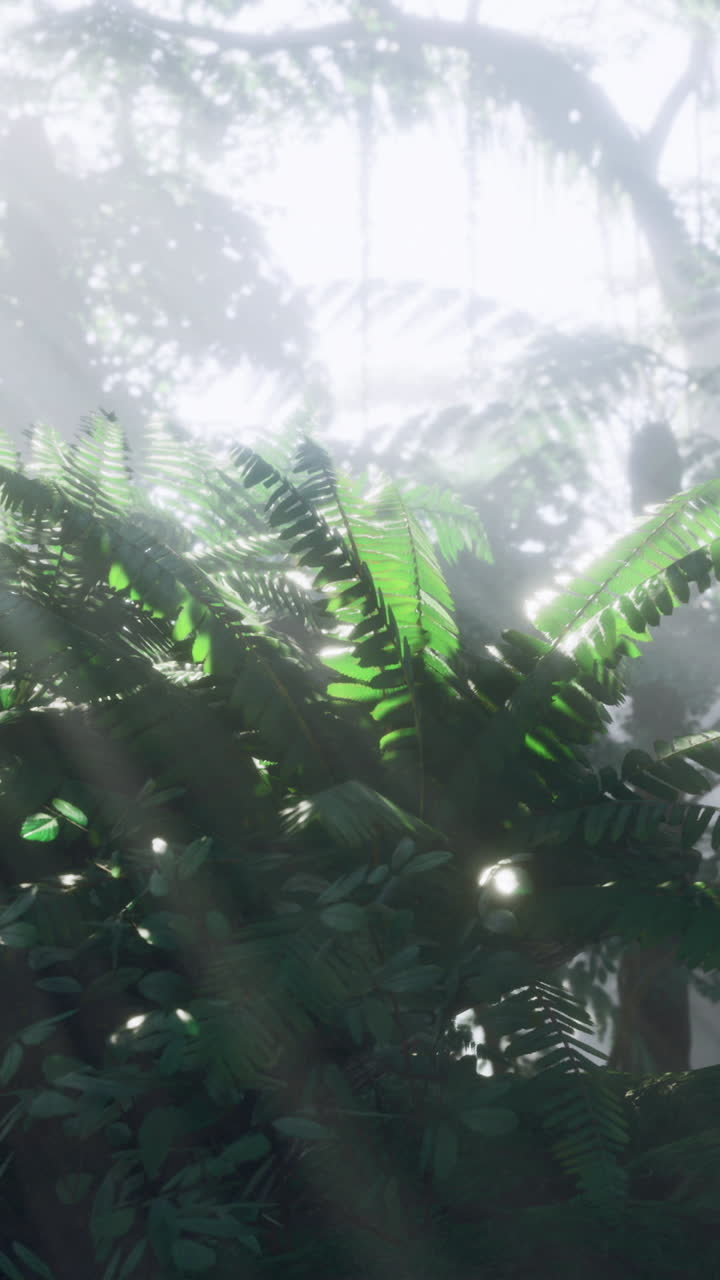Lush ferns basking in sunlight within a mysterious jungle landscape