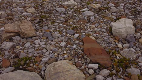 Rock-step-formation-and-glacier-reveal